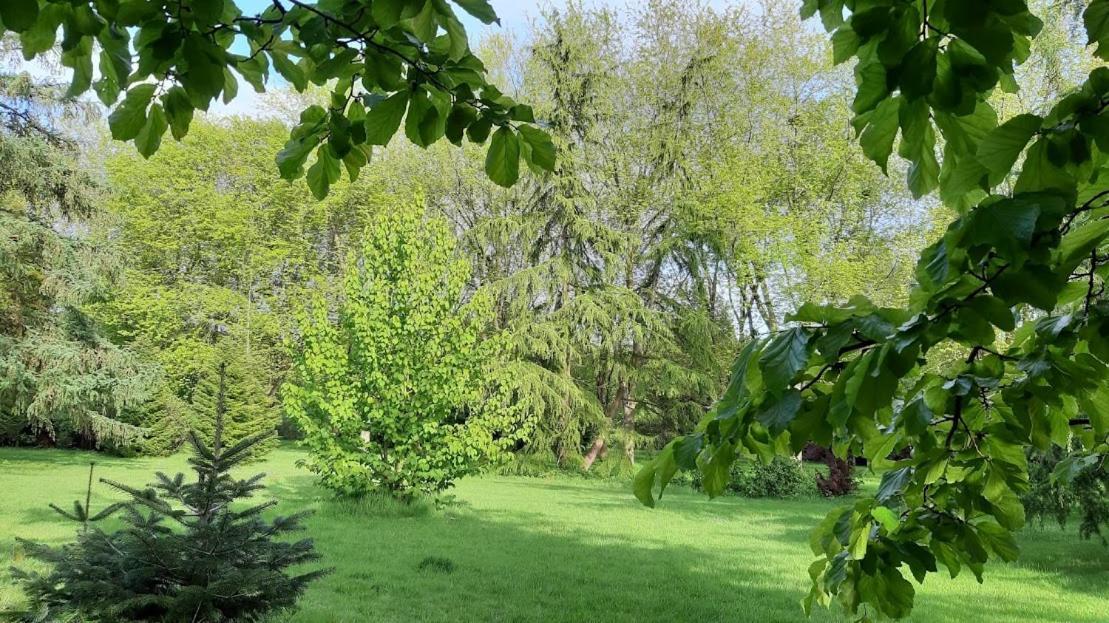 ホテル Levaltipis Saint-Gâtien-des-Bois エクステリア 写真