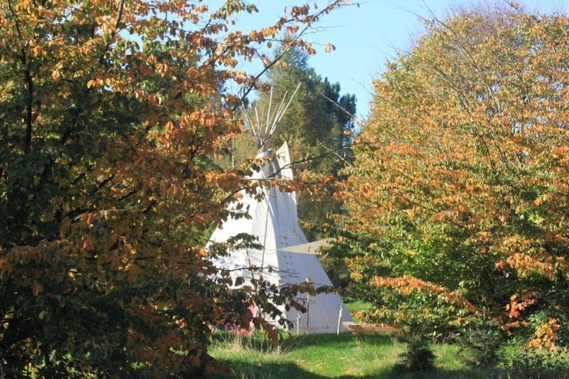 ホテル Levaltipis Saint-Gâtien-des-Bois 部屋 写真